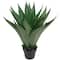 2ft. Potted Green Agave Americana Artificial Succulent Plant